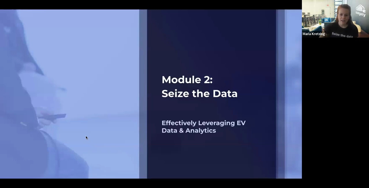 Driving Success: Crafting Resilient EV Strategies