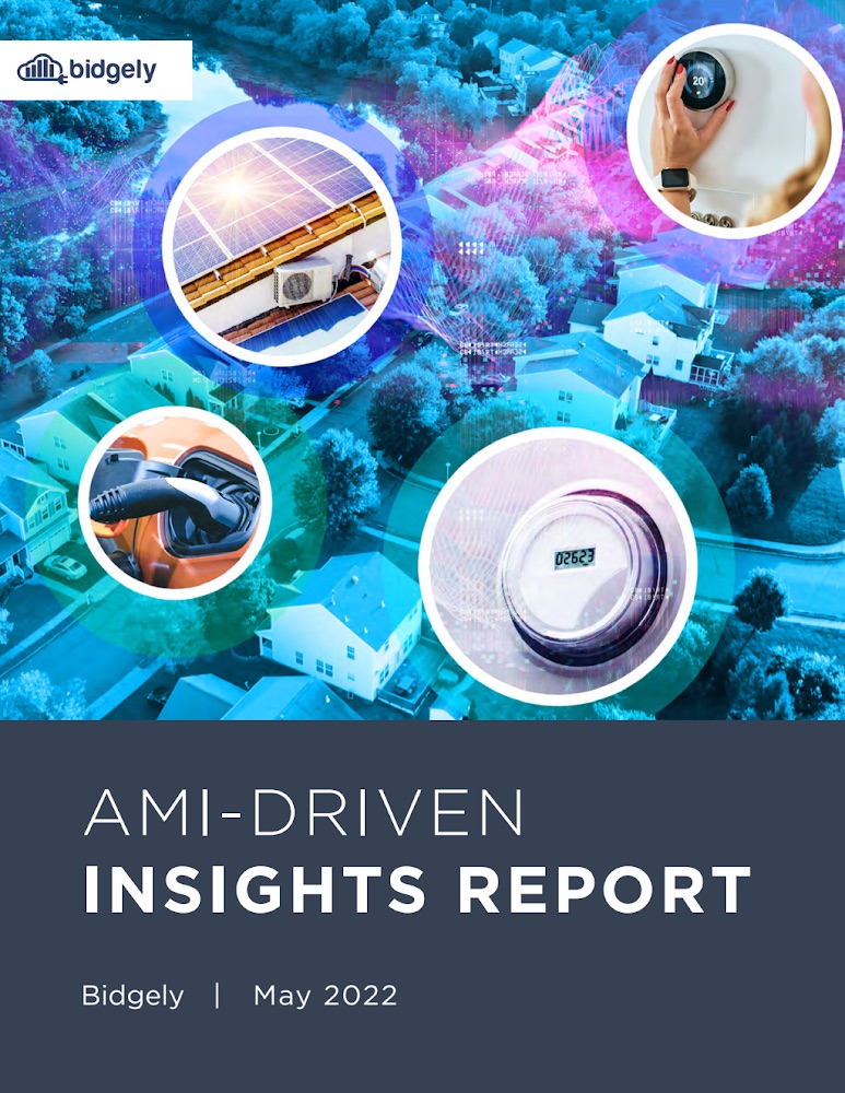 AMI-Driven Insights Report: Unlocking Data Value