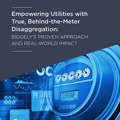 Empowering Utilities with True Disaggregation