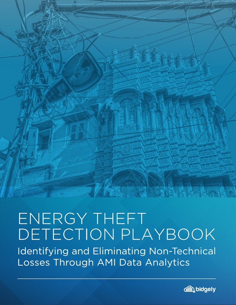 Identifying and Eliminating Energy Theft Losses