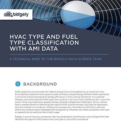 HVAC Type and Fuel Classification with AMI Data
