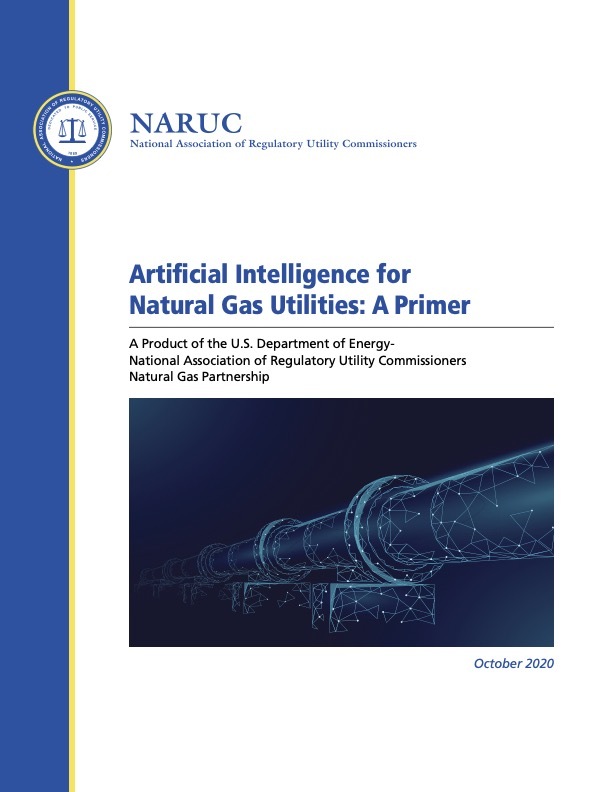 Improve Natural Gas Utility Performance With Practical AI