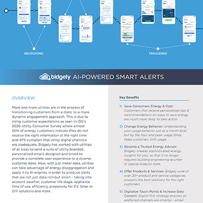 AI-Powered Smart Alerts: Dynamic Customer Engagement