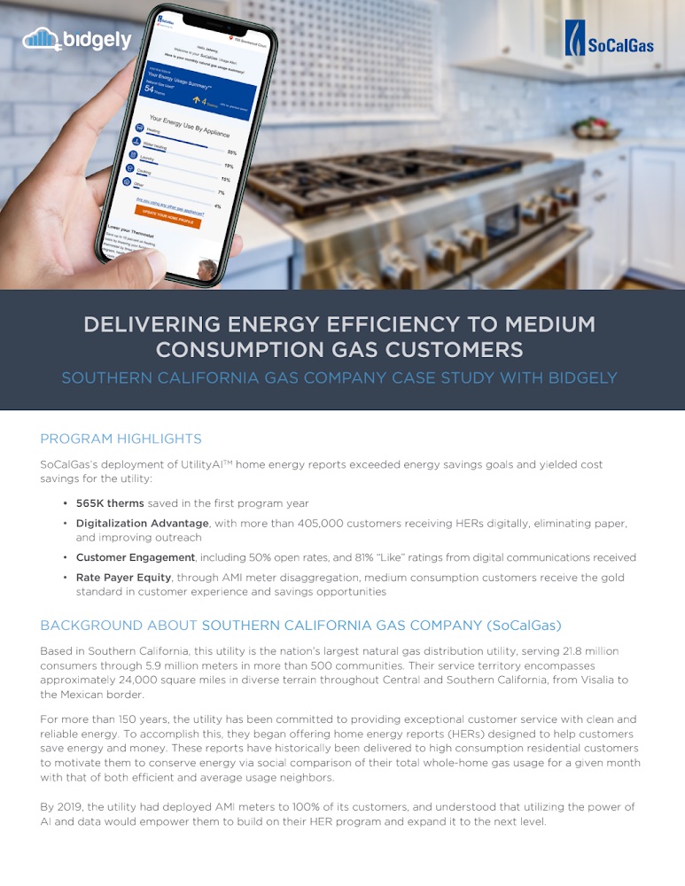 SoCalGas Case Study: Delivering Energy Efficiency