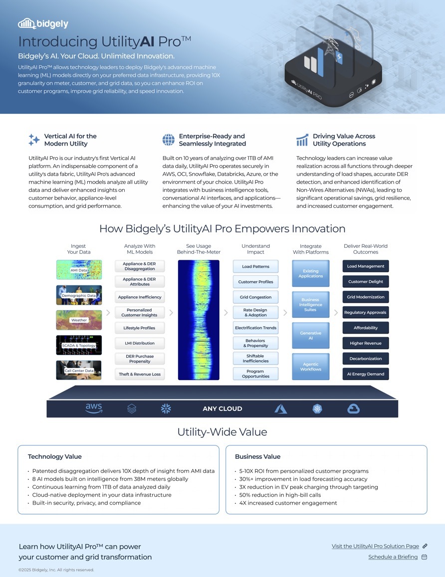 UtilityAI Pro: Trusted Utility AI in Your Own Cloud