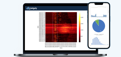 AMI-Driven Insights Report: Unlocking Data Value