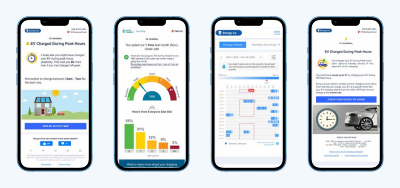 Behind-the-Meter Intelligence for Clean Energy