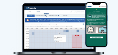 Customer Journeys: Connect Energy Value