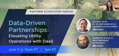 Data-Driven Partnerships: Elevating Utility Operations with DaaS