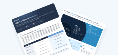 Edge Intelligence Platform Solution Brief