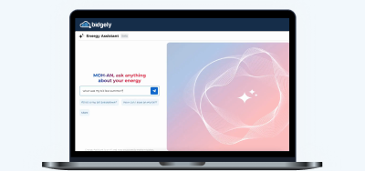 Empower Customers With AI-Powered Energy Assistant