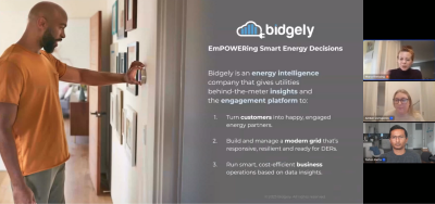 Empowering Utilities - Ensuring Privacy and Security in EV Telematics Programs with Bidgely & Smartcar