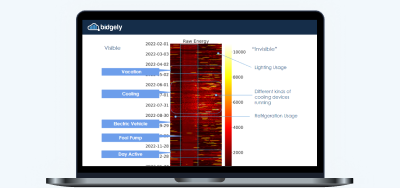 Empowering Utilities with True Disaggregation