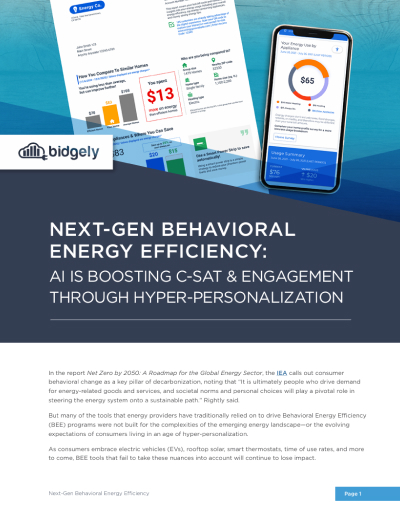 Next Gen Behavioral Energy Efficiency