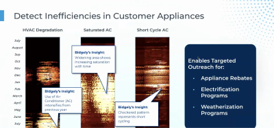 Turn AMI Data Into Personalized Energy Intelligence