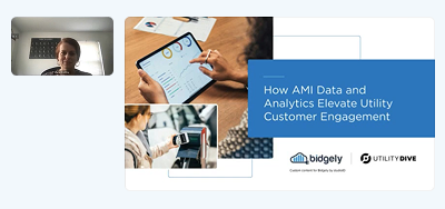 Turn AMI Data into Personalized, High-Impact Campaigns