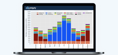 Unleashing the Power of Disaggregation for TOU