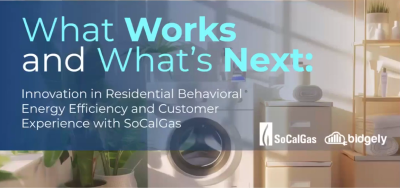 What Works and What's Next: Innovation in Residential Energy Efficiency & CX