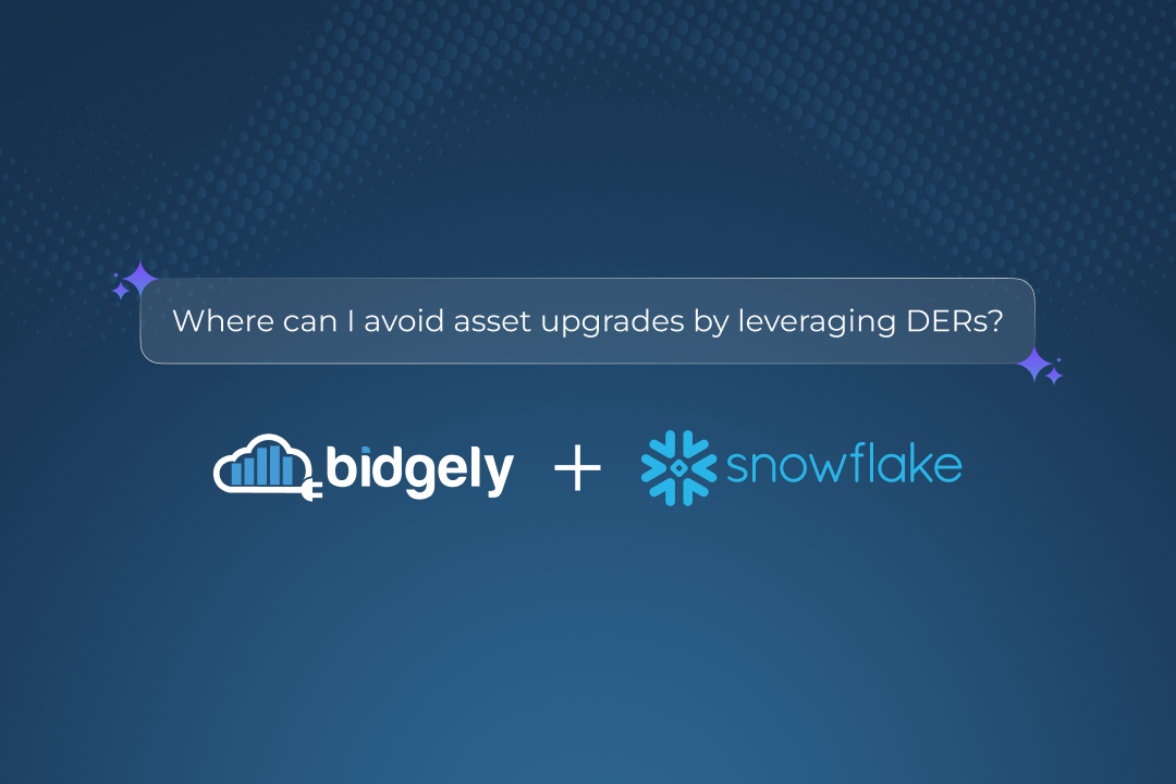 Bidgely and Snowflake