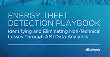 Theft_Playbook_2022_Thumb